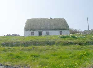 white cottage